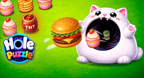 Source of Hole Puzzle Game Image