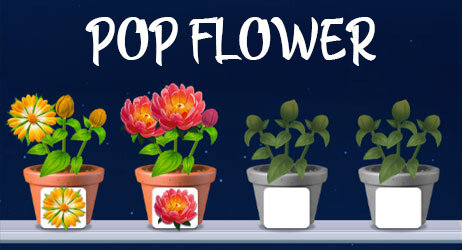 Source of Pop Flower Game Image