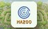 Maze Games