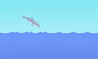 Dolphin Olympics