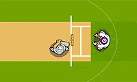 Cricket