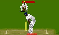 Virtual Cricket
