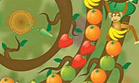 Fruit Twirls