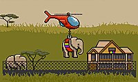 Eco Quest