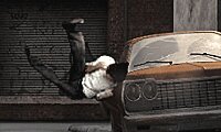 The Stuntman