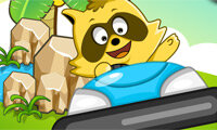 Raccoon Crash
