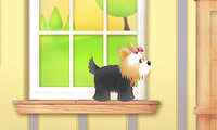 Gli animali giocherelloni