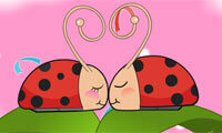 Romance Flower