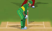 World Cricket
