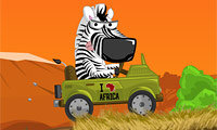 Zebrasafari