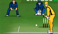 Ultimate Cricket