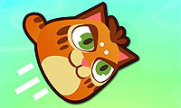 Kattenkanon