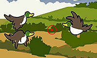Bird Blast