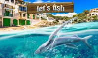 Let's Fish!