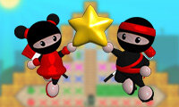 Ninja Pengecat 2