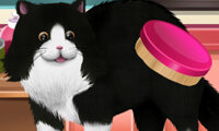 Paws to Beauty 2