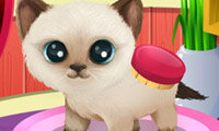 Troetelkliniek 3: puppy's en poesjes