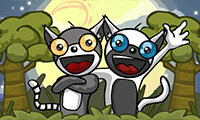 Lemur Bulan