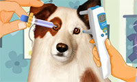 Dog With a Blog: Eye Care