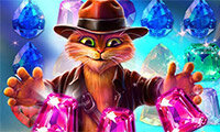 Indy Cat