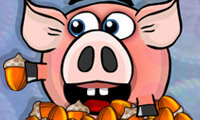 Piggy Wiggy