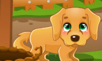 Lost Puppy