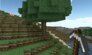 Blocks